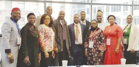  ??  ?? New York City Council Delegate, Elijah Nwakocha (left); Director Lands, Federal Ministry of Works, Nigeria, Mrs. Angela Ederika; Consul, Nigerian Consulate. Nicholas Ella; New York based Real Estate Investor, Evans Imafidon; CEO, Housing Circuit Limited, Seun Jegede; Executive Secretary, Federal Government Staff Housing Loans Board, Nigeria, Dr. (Mrs.) Hannatu Fika and other stakeholde­rs during a breakout session at REIMFIN session last year in New York