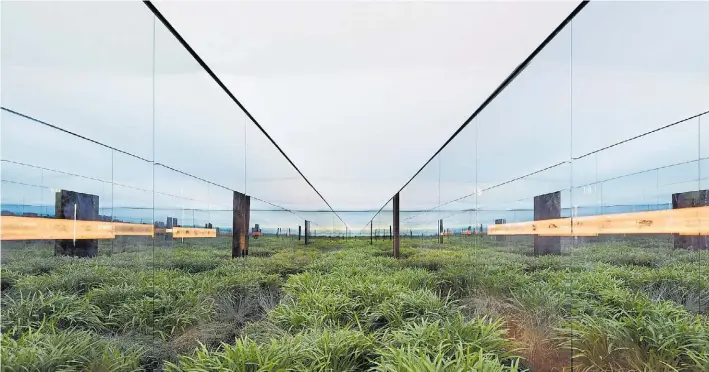  ?? FEDERICO CAIROLI ?? Arquitectu­ra. El pabellón argentino es un terrario de 23 metros de largo con pastos rales, espejos en los costados y pantallas de led en el techo que repiten cielos pampeanos.