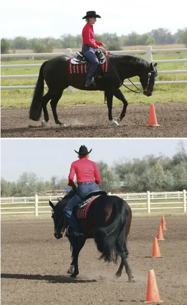  ??  ?? TOP: Pattern size depends on arena size. Plan your approach to the line by trotting through it a few times during your warm up to help get a feel for where you’re supposed to change between each cone. BOTTOM: Here I'm too far off my marker, which will...