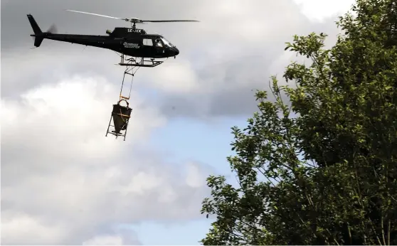  ?? Bild: PATRICK SÖRQUIST/TT/ARKIV ?? BIOLOGISK BEKÄMPNING. Österfärne­botraktens myggproble­m bekämpades med helikopter. Den hjälpen hoppas Forshagabo­rna också få.