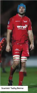  ??  ?? Scarlets’ Tadhg Beirne