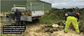  ?? ?? From a neighbour’s big oak tree to four big apple trees, Trevor has stocked up his firewood handsomely