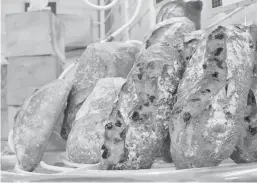  ??  ?? La deuxième boulangeri­e de produits sans gluten ouvrira ses portes dans l’île de Djerba au cours de la première semaine de mai