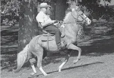  ?? AP Photo/Brynn Anderson ?? Former Alabama Chief Justice and U.S. Senate candidate Roy Moore rides in on a horse Tuesday to vote at the Gallant Volunteer Fire Department during the Alabama Senate race in Gallant, Ala. Moore, former chief justice of the Alabama Supreme Court, wouldn’t stand a chance in many Senate races after defying federal court orders, describing Islam as a false religion, calling homosexual­ity evil and pulling out a revolver on stage before hundreds of supporters. But in Alabama, Moore is now the odds-on favorite to join the nation’s most exclusive political body.