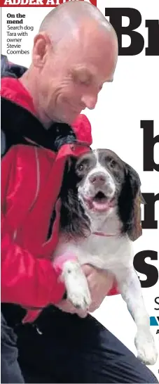  ??  ?? On the mend Search dog Tara with owner Stevie Coombes