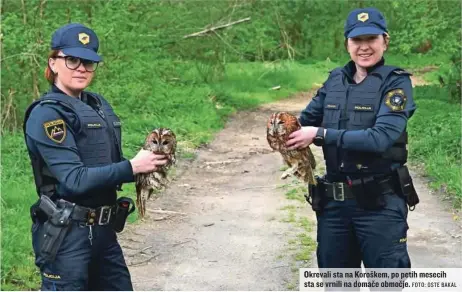  ?? FOTO: OSTE BAKAL ?? Okrevali sta na Koroškem, po petih mesecih sta se vrnili na domače območje.