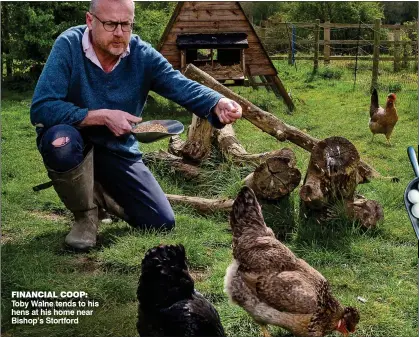  ?? ?? FINANCIAL COOP: Toby Walne tends to his hens at his home near Bishop’s Stortford