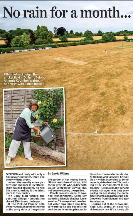  ?? ?? Fifty shades of beige: The cricket field in Odiham. Below, Amanda Coomber waters her roses with a mop bucket