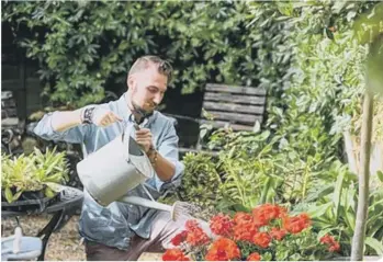  ??  ?? Gardening can bring joy as well as benefits for health and well-being (photo: RHS/Jason Ingram)