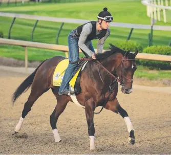  ?? Picture: ANDY LYONS/GETTY IMAGES ?? Omaha Beach has been scratched from the Kentucky Derby.