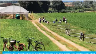  ??  ?? SABAUDIA, Italy: Migrant workers and their bicycles are seen at the fields of Bella Farnia near the coastal city of Sabaudia, South of Rome. About 30,000 Indians, mainly Sikhs from Punjab state, live in the Pontine Marshes. — AFP