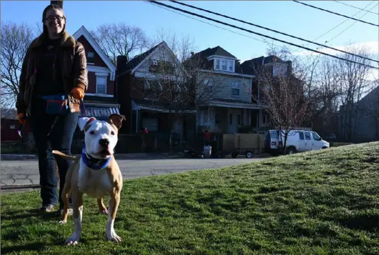  ??  ?? Leanna Verderese of Edgewood, a volunteer with Humane Animal Rescue, walks Mozart Thursday on Hamilton Avenue in Homewood.