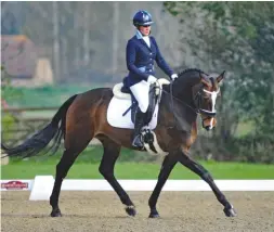  ??  ?? Showjumper Danielle Dickson and Uniquely Bee score 78% at novice