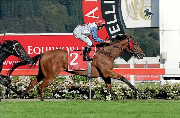  ??  ?? Savvy Coup and rider Chris Johnson take out the NZ Oaks yesterday.