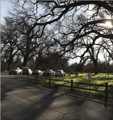  ?? CARIN DORGHALLI — ENTERPRISE-RECORD ?? Safety vegetatoio­n work will be done along Petersen and South Park drives in lower Bidwell Park starting Tuesday. The sun shines upon the entrance to Peterson Drive on Sunday in Chico.