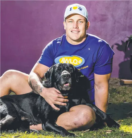  ?? Picture: JERAD WILLIAMS ?? Jarrod Wallace at the AWLQ’s Coombabah shelter with Jack, a Labrador who's available for adoption.