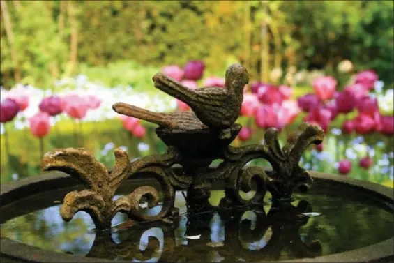  ?? DEAN FOSDICK VIA AP ?? An antique birdbath focuses attention on an array of blooming bulbs.