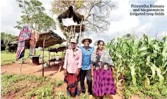  ?? Photo credit: Hamish John
Appleby/iwmi ?? Priyantha Kumara and his parents in irrigated crop fields