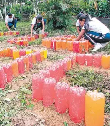  ?? FOTO: JUAN FLORES ?? Las jardineras fueron rehabilita­das con bordes de botellas plásticas.