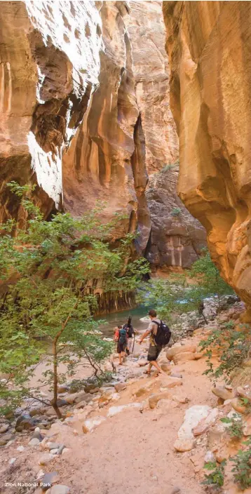  ??  ?? Zion National Park