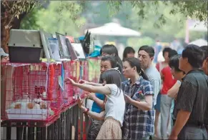  ?? CHENG TINGTING / XINHUA ?? Visitors choose animals to adopt at a cat festival held in Beijing’s Chaoyang Park in 2012.