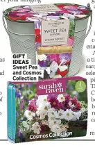  ?? ?? GIFT
IDEAS Sweet Pea and Cosmos Collection