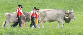  ?? — Reuters ?? Farmers wearing traditiona­l costumes lead their cows during the annual Alpabzug, after leaving their summer mountain pastures at the Schwaegalp mountain pass, in the town of Urnaesch, Switzerlan­d.