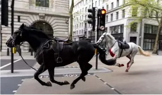  ?? ?? Two horses on the loose, one covered in blood, bolt through the streets of London near Aldwych