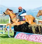  ??  ?? Beautiful setting: Sligo racecourse has Benbulben mountain as a backdrop