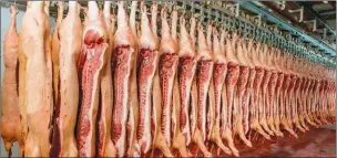  ??  ?? OPORTUNIDA­D. Hasta junio de 2017 nunca se había exportado carne de cerdo. Solo hay 13 mercados abiertos para los porcinos, contra 130 para carne vacuna. “Estamos conversand­o con los posibles clientes”, dice Culasso.