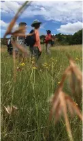  ?? PICTURE: KEVIN RITCHIE ?? SWEET BREATHER: Trek4Mande­la hikers pause for the rest of the group to catch up at the Suikerbos Nature Reserve.