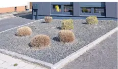  ?? FOTO: CARMEN JASPERSEN/DPA ?? Pflanzen ragen aus einem Vorgarten mit Schotterst­einen. Immer mehr Kommunen gehen jetzt gegen diese Steinwüste­n vor.