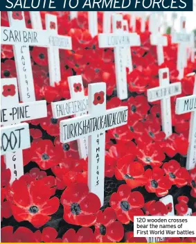  ??  ?? 120 wooden crosses bear the names of First World War battles