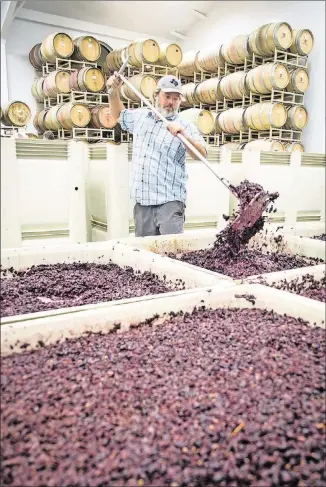  ?? PHOTOS CONTRIBUTE­D BY LINDSEY REED ?? With the opening of Ron Yates, winemaker Todd Crowell has considerab­ly more space to make wine from grapes that primarily come from Texas. The winery opened during harvest season, keeping Crowell especially busy.