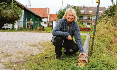  ?? Foto: Julian Leitenstor­fer ?? Vor einiger Zeit knickte ein Sturm am Gnadenhof in Frauenwies einen Strommast ab, über den die Weiden mit Strom versorgt werden. Betreiberi­n Janne Kellner muss für den Schaden aufkommen.