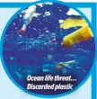  ??  ?? Ocean life threat… Discarded plastic