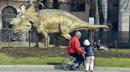  ??  ?? Bestioni A fianco: il Pachirhyno­saurus a piazzale Gavazzeni In basso: a sinistra l’Indricothe­rium (che in realtà era un mammifero) alla stazione; a destra l’arrivo del Parasaurol­ofo ieri al museo Caffi