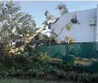  ?? Photo: Contribute­d ?? DOWN: A tree hit the Oakey Aquatic Centre.