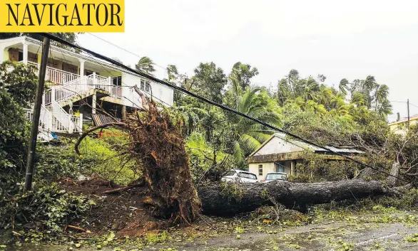  ?? ISHAM CALVADOS / AFP / GETTY IMAGES ?? An uprooted tree covers a small house in the village of Viard—Petit Bourg, near Pointe-a-Pitre, in the French territory of Guadeloupe after the passage of hurricane Maria. Officials on the island reported one death after a person was hit by a falling...