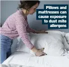  ??  ?? Pillows and mattresses can cause exposure to dust mite allergens