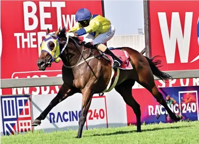  ?? Picture: JC Photograph­ics ?? TEST. La Moohal will come up against some strong opposition when he runs in Race 6 at Turffontei­n on Saturday, a Middle Stakes over 1700m on the Inside track.