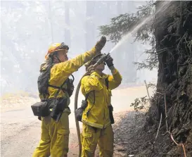  ?? DAVID ROYAL/MONTEREY HERALD PHOTOS ?? Cal Fire firefighte­rs extinguish hot spots Tuesday while fighting the Soberanes fire in Palo Colorado Canyon on the northern Big Sur coast.