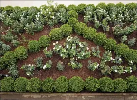  ??  ?? A view of the restored Rose Garden is seen at the White House in Washington D.C.