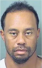  ??  ?? SCRUFF Florida police mugshot of Woods