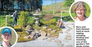  ??  ?? Rory and Sara Stewart hard at work edging, weeding, feeding and mulching one of the garden’s 150 shrub circles