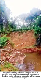  ??  ?? Illegal sand mining activities along the banks of Nilwala River have caused the banks to erode into the river posing a threat to tea estates in Morawaka and surroundin­g areas