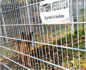  ?? Symbolfoto: Marcus Merk ?? Ein Leben hinter Gittern? Weil es mehrfach Beschwerde­n über die Hunde einer Gersthofer­in gab, kamen diese ins Tierheim. Nun klagte die Frau und erstritt vor Gericht einen Teilerfolg.