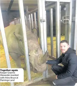  ??  ?? Together again Keeper Graeme Alexander reunited with rhino Bruce at Flamingo Land