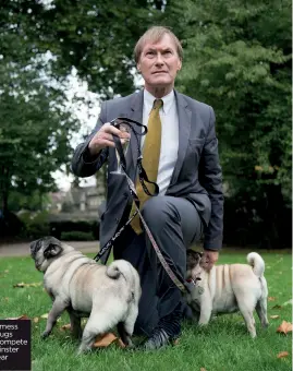  ?? ?? 2013 David Amess and his two Pugs
Lilly and Bo compete in the Westminste­r Dog of the Year competitio­n