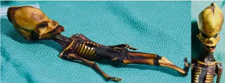  ?? — AFP ?? New insight: Researcher­s believe the skeleton of the infant child, which is incredibly intact, is probably no more than 40 years old.